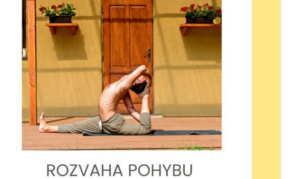 ROZVAHA POHYBU